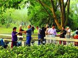 文章附图